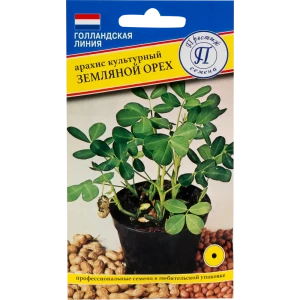 Арахис культурный (Земляной орех)