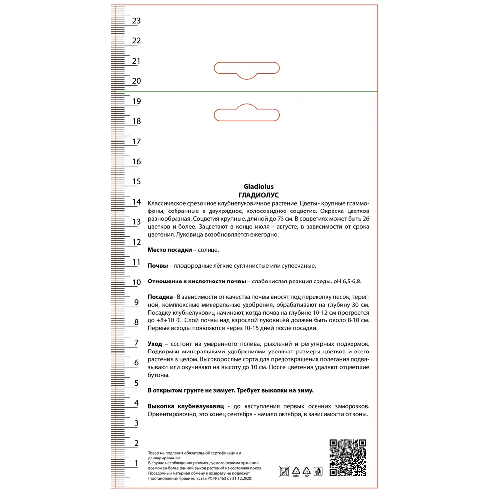Гладиолус крупноцветковый Малер, 3 шт 89452248 STLM-2065592 ПОИСК  - Вид №1