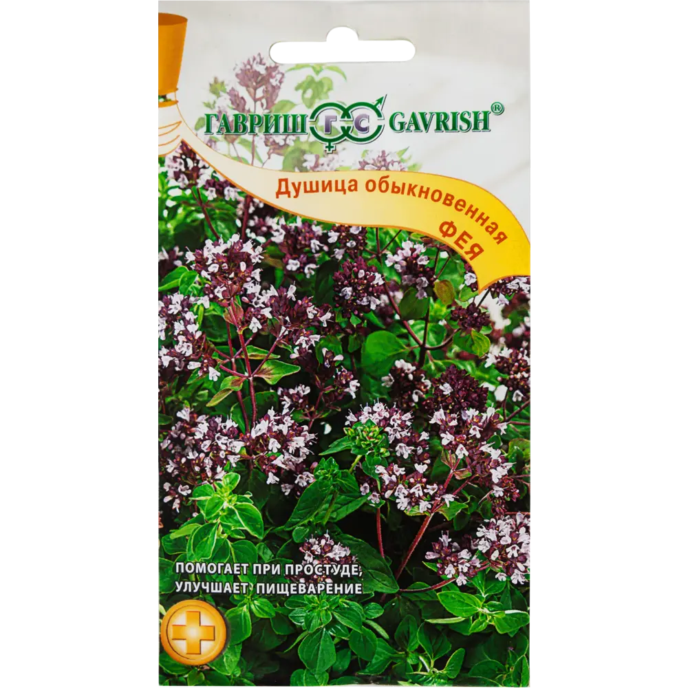 Душица «Фея» от ГАВРИШ — ароматная приправа и лекарственное растение 82097763 STLM-0961098