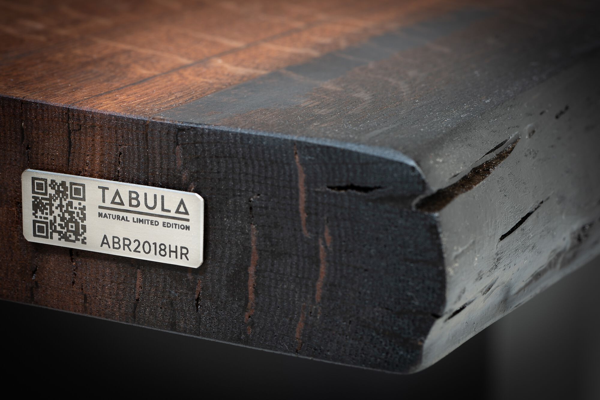 Стол из ископаемого дуба Tabula уникальная редкость ARCH-00137285 - Вид №1