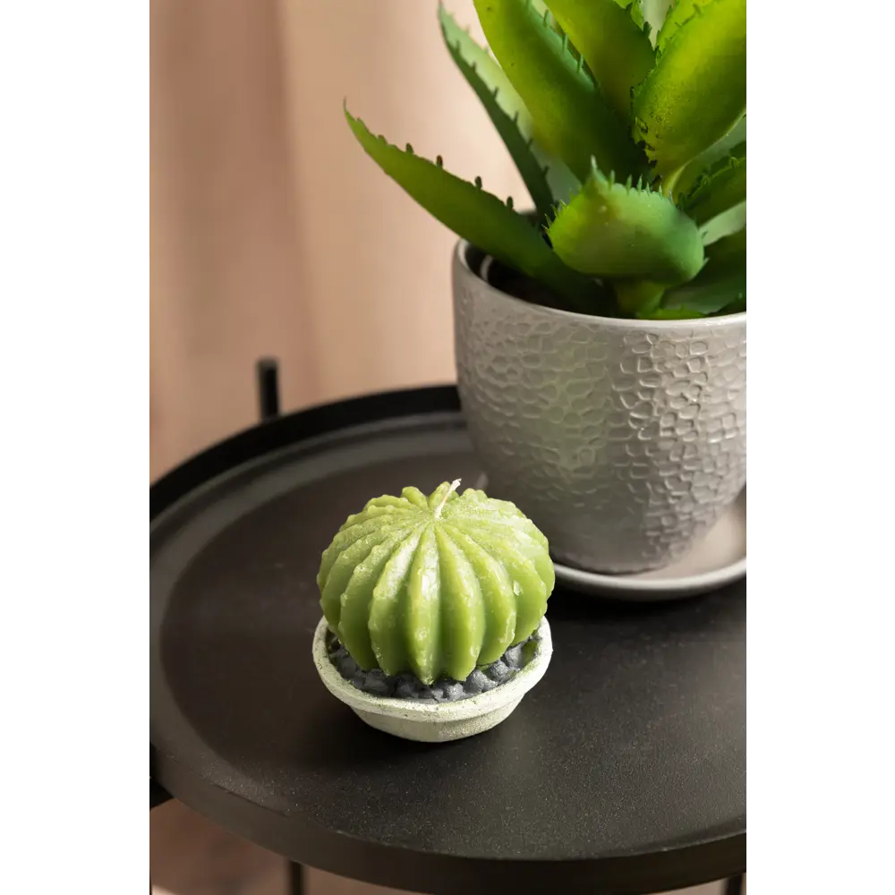 Свеча парафиновая Кактус в горшочке белая EVIS STLM-2186670 - Вид №5