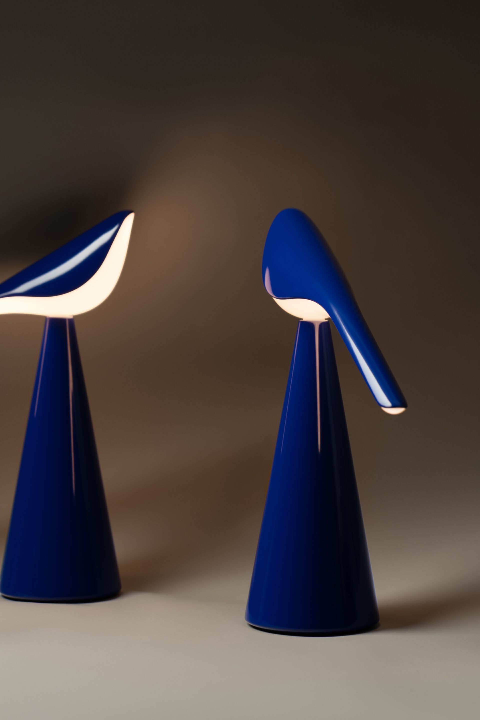 Алюминиевая светодиодная настольная лампа Established&Sons TIKI ARCH-00145932 - Вид №74