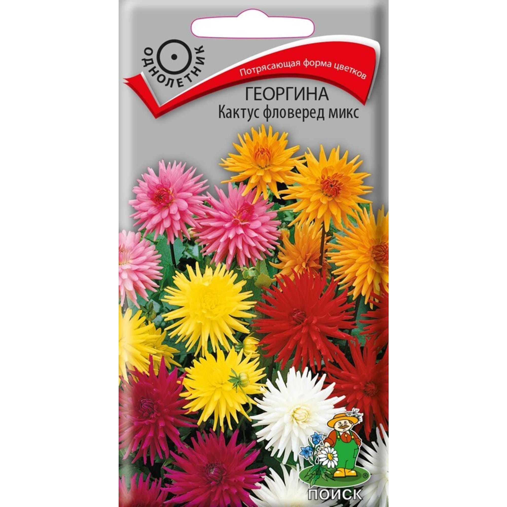Семена Георгины кактусовой «Фловеред Микс» от ПОИСК — яркое украшение сада 83227380 STLM-0039549