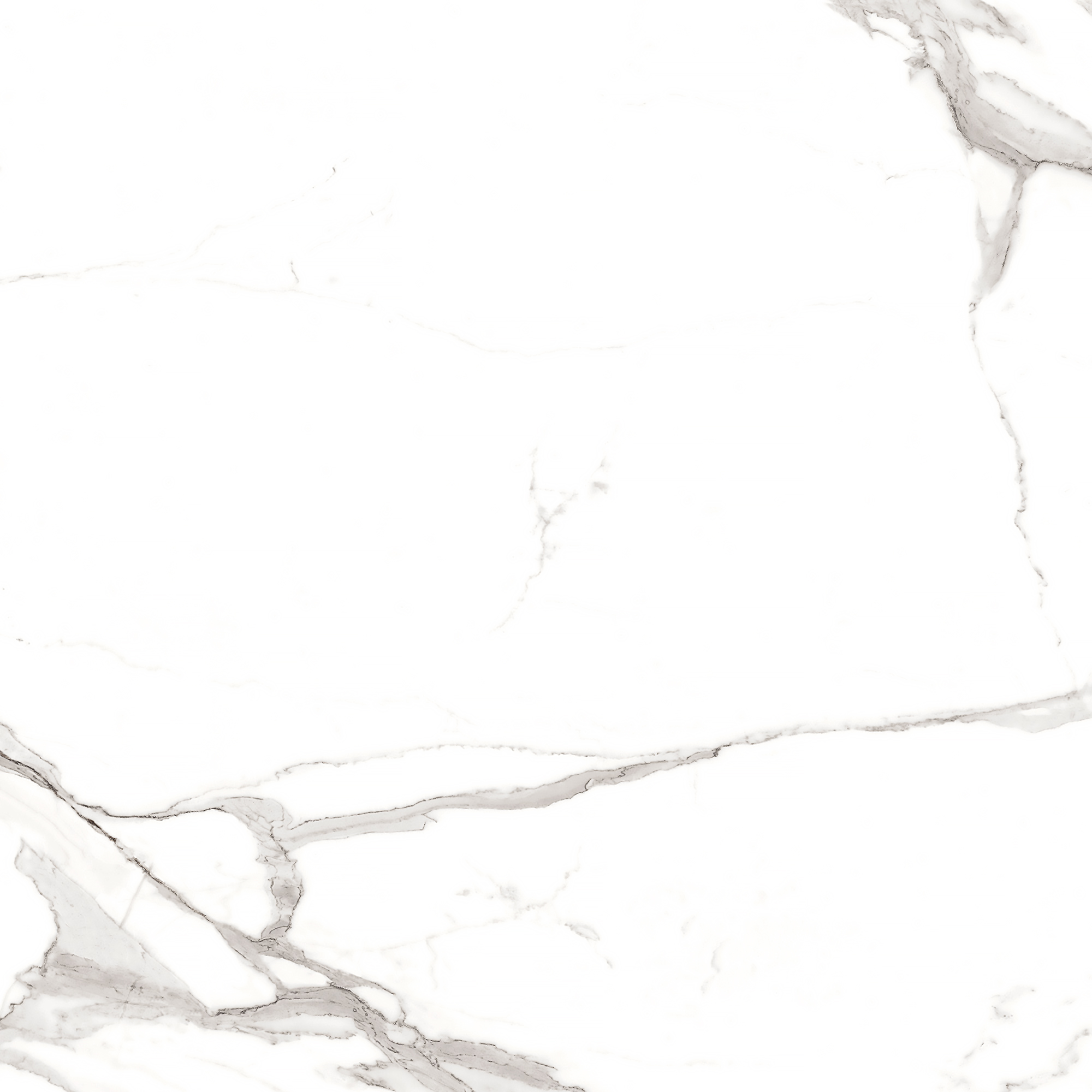 Керамогранит STATUARIO MIRES 60х60 Arcadia Ceramica FP1012-A STLM-1571933 89405719  - Вид №7