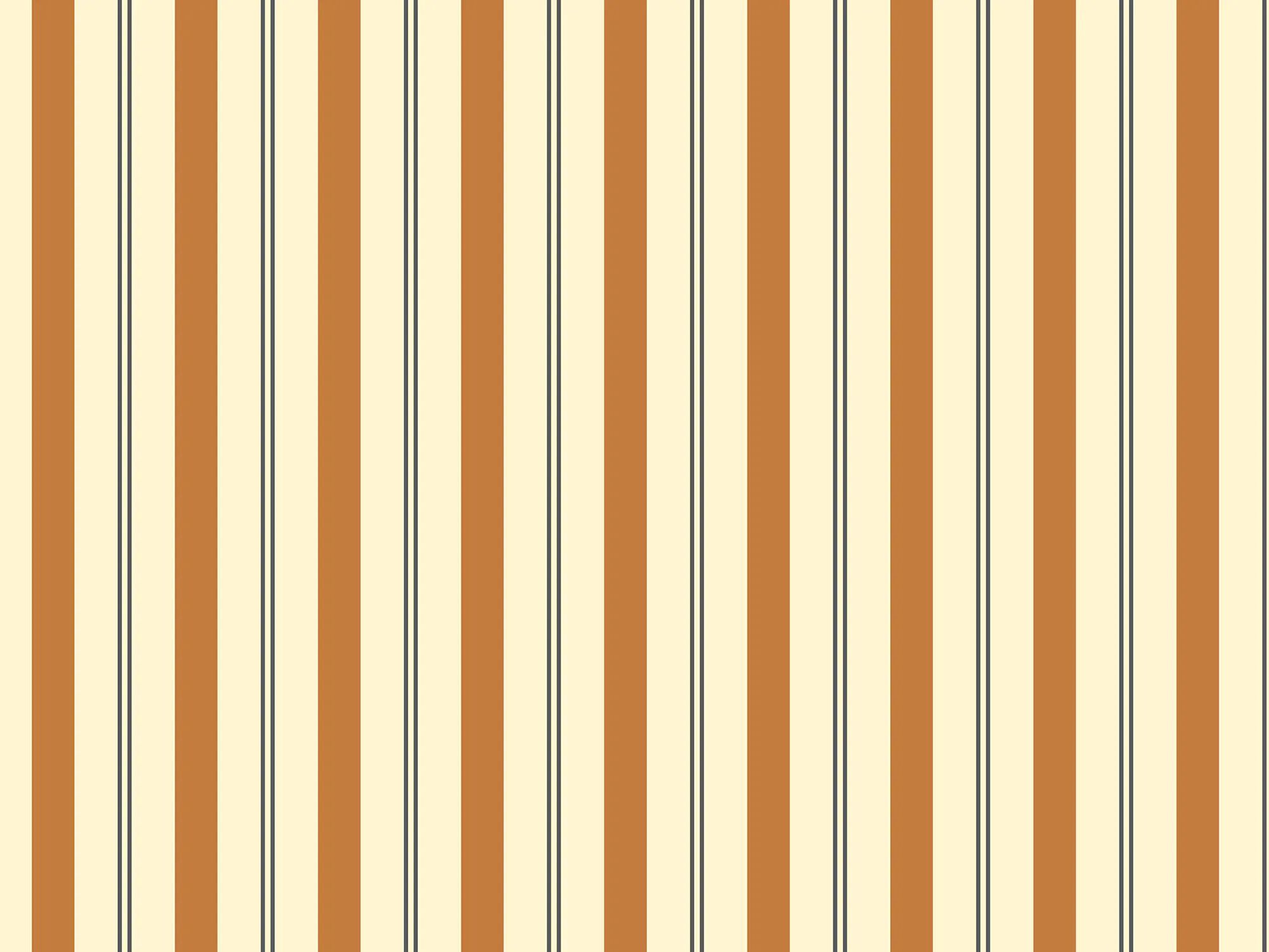 Обои с рисунком Ressource La Rayure ARCH-00027406 - Вид №1