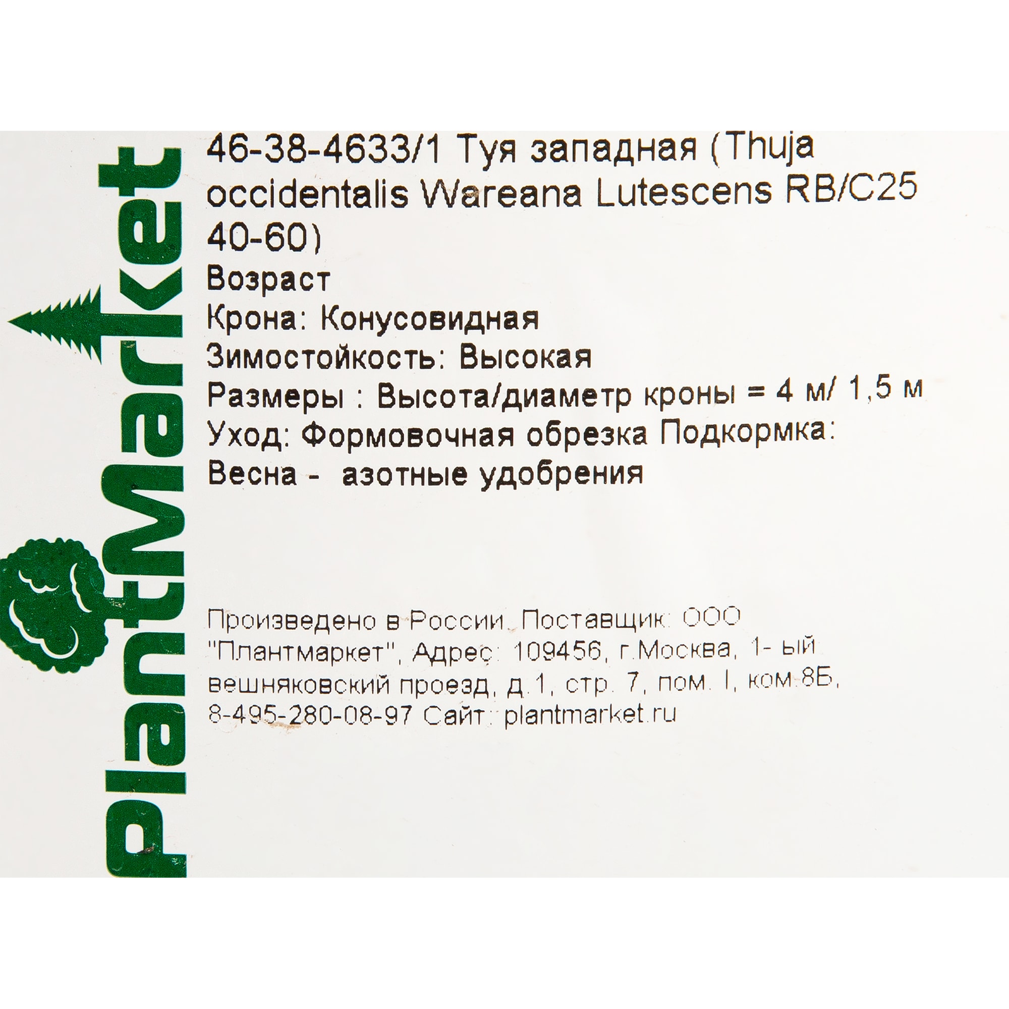 82625365 Туя западная «Вареана Лютесценс» 40x40-60 см Santreyd  - Вид №1