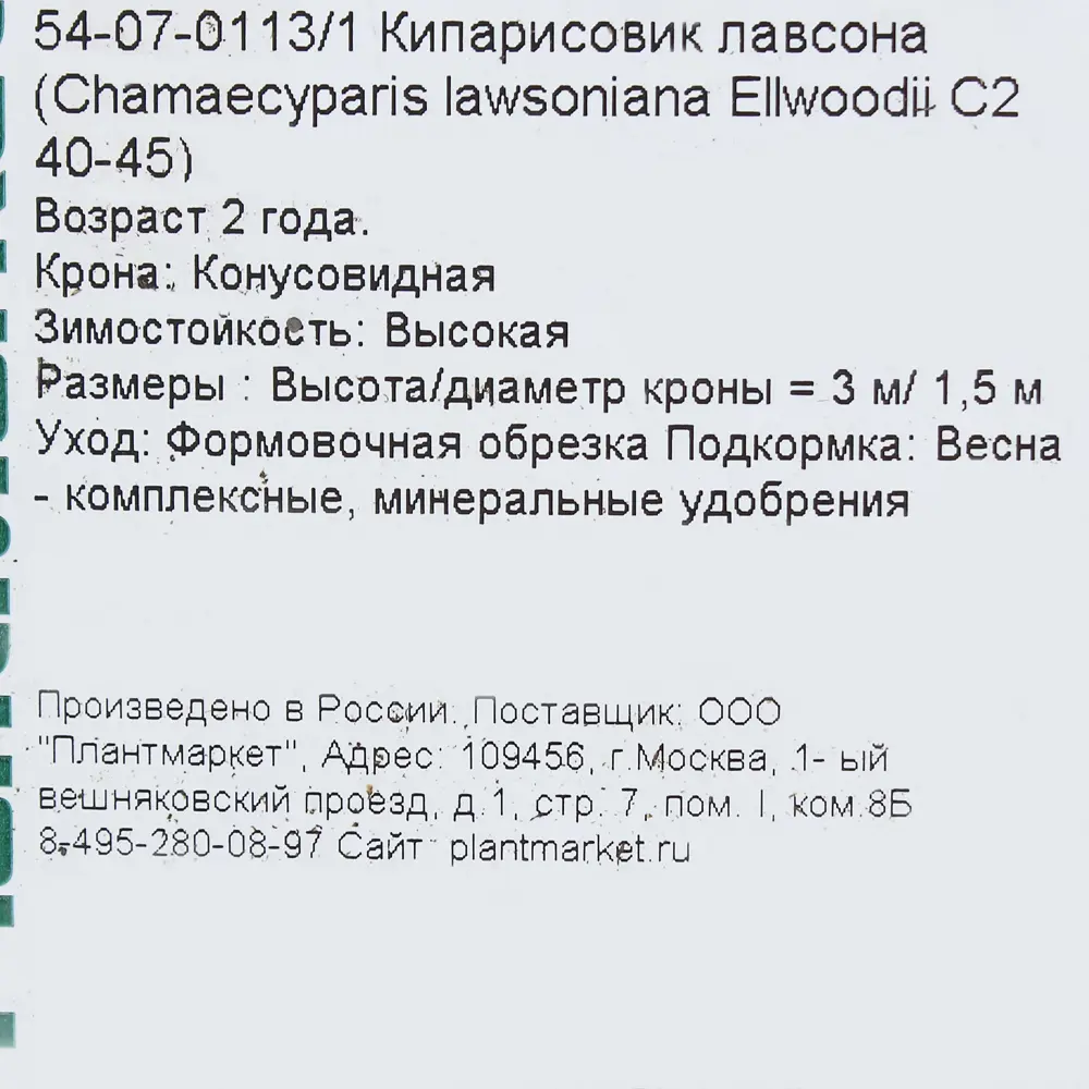 Кипарисовик Лавсона «Элвуди» С2, 40-50 см PLANTMARKET STLM-2001507 - Вид №2