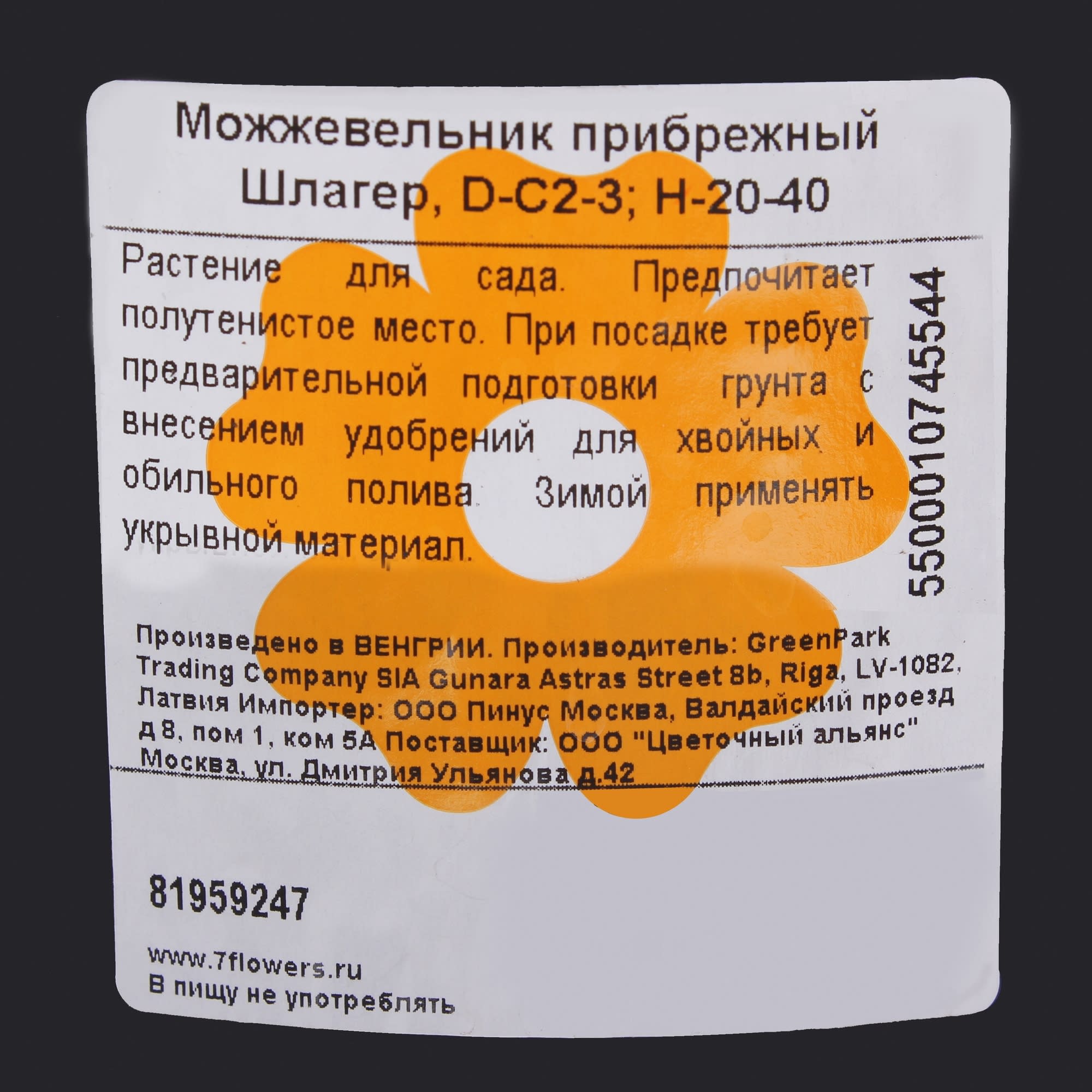 81959243 Можжевельник прибрежный С2 «Шлагер» 3/20 Santreyd  - Вид №1