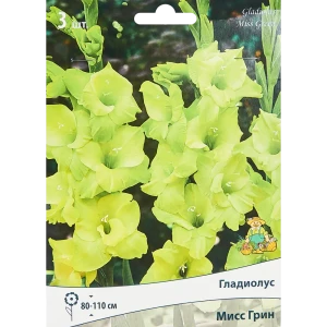 Гладиолус крупноцветковый Мисс Грин, 3 шт 86410025 STLM-2193071