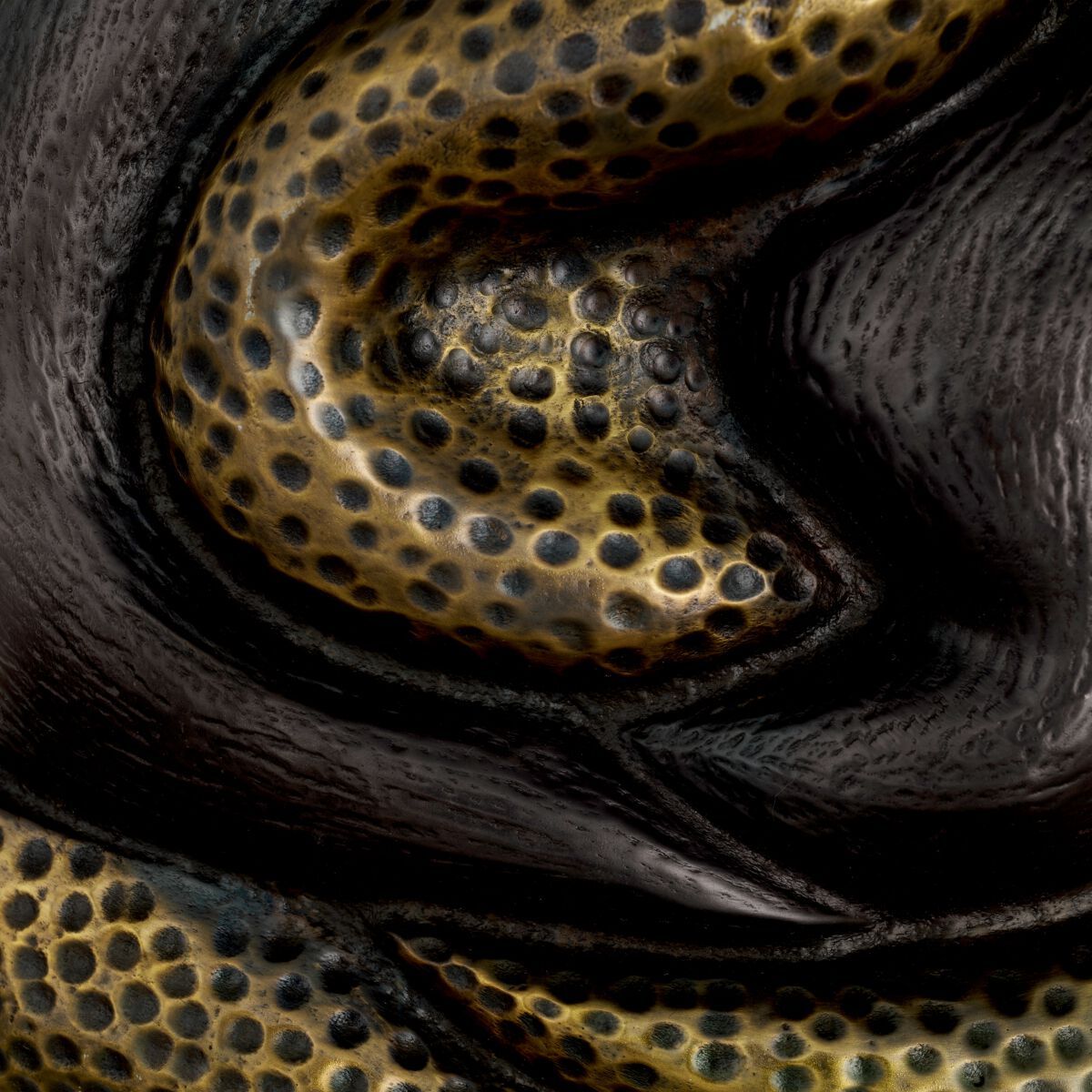 Металлический настенный светильник Eichholtz NUNO ARCH-00044050 - Вид №4