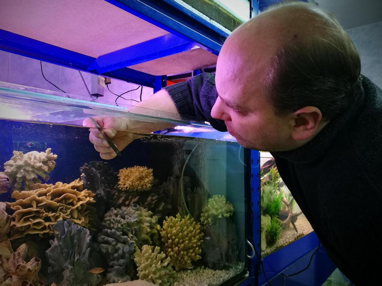 Секреты аквариумного рыбоводства [Марк Давидович Махлин] (fb2) читать онлайн
