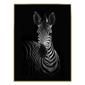 93904416 Картина Animal Planet Zebra, 56х76 см STLM-0606194 ARTWORK