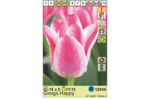 18441625 Луковица Тюльпан Грейгс Хэппи 11/12 розовый, 5 шт. 12044 HBM