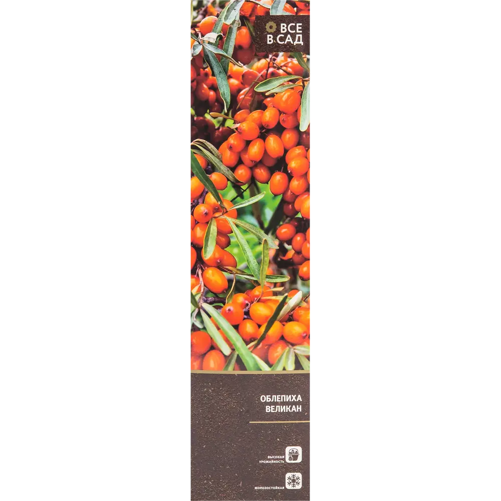 Облепиха в тубе ВСЕ В САД STLM-2136794