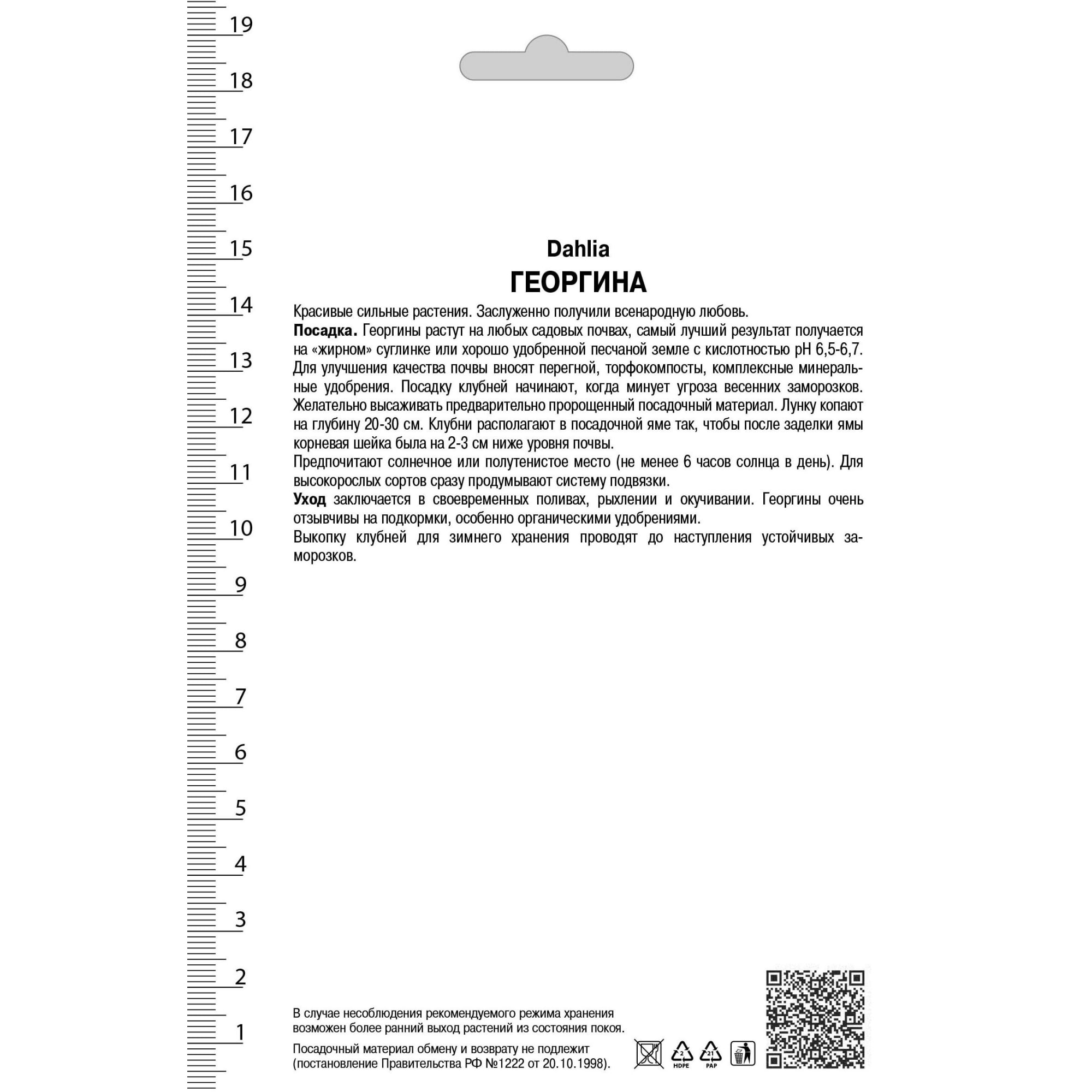 82530128 Георгины декоративные Мюзетт Santreyd  - Вид №1