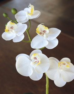 2964 778 a3 Пластиковая орхидея Phalaenopsis, горшечная, 35 см, real touch soft, бежево-белая H-andreas