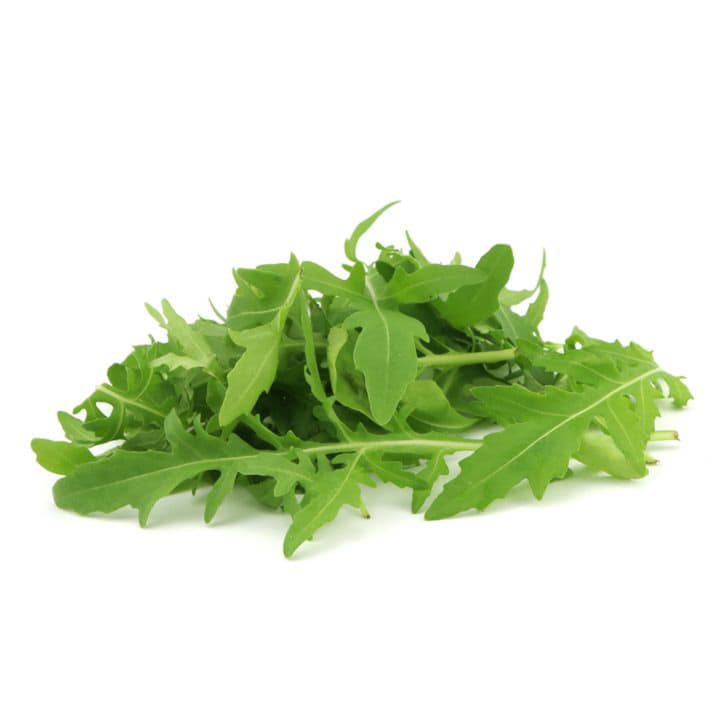 Руккола Santreyd 1873