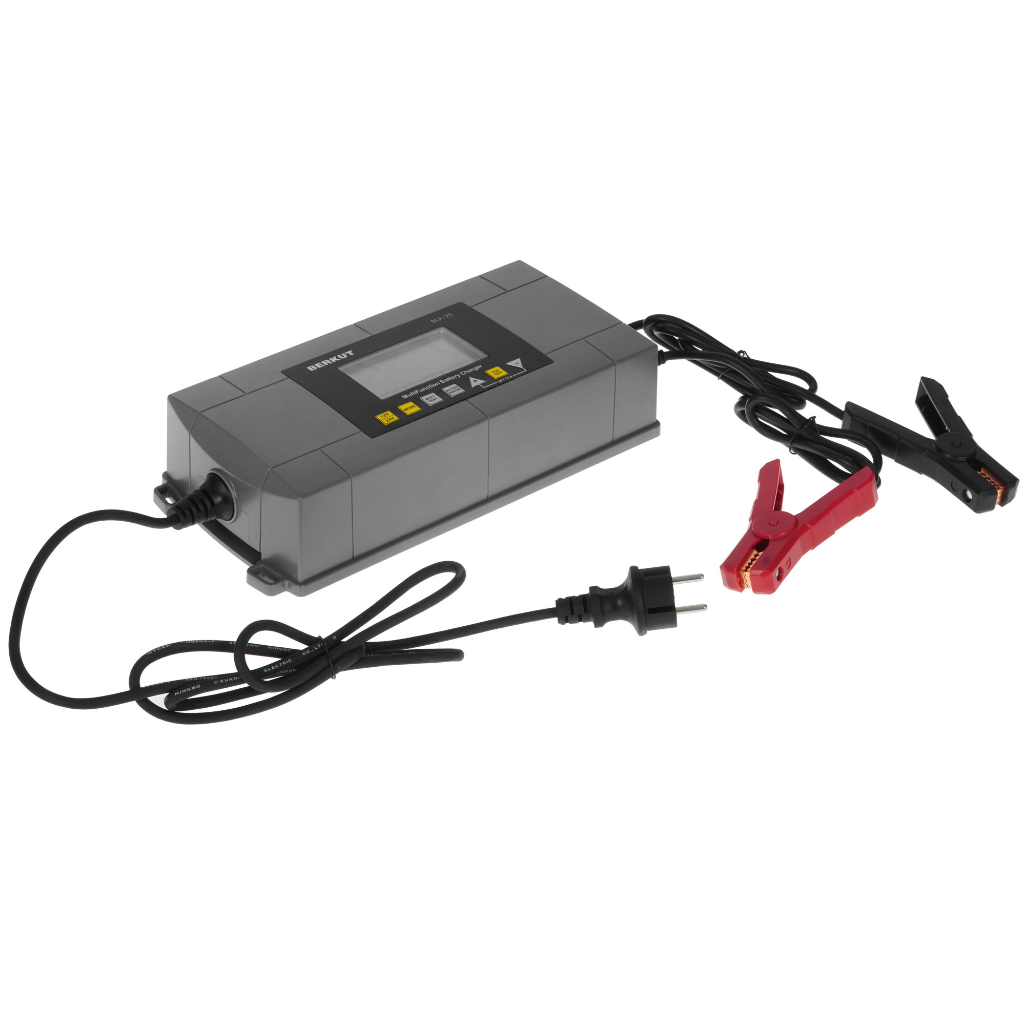 4893940 Зарядное устройство BERKUT Specialist BCA-25 STDN-0042829