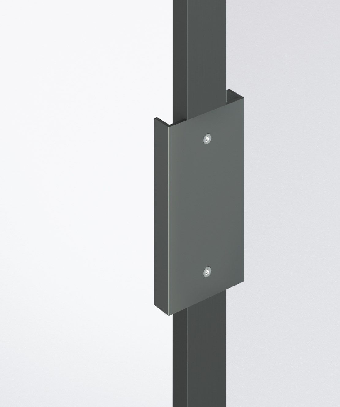 Зеркальная стеклянная поворотная дверь ADL плоская ARCH-00131356 - Вид №4