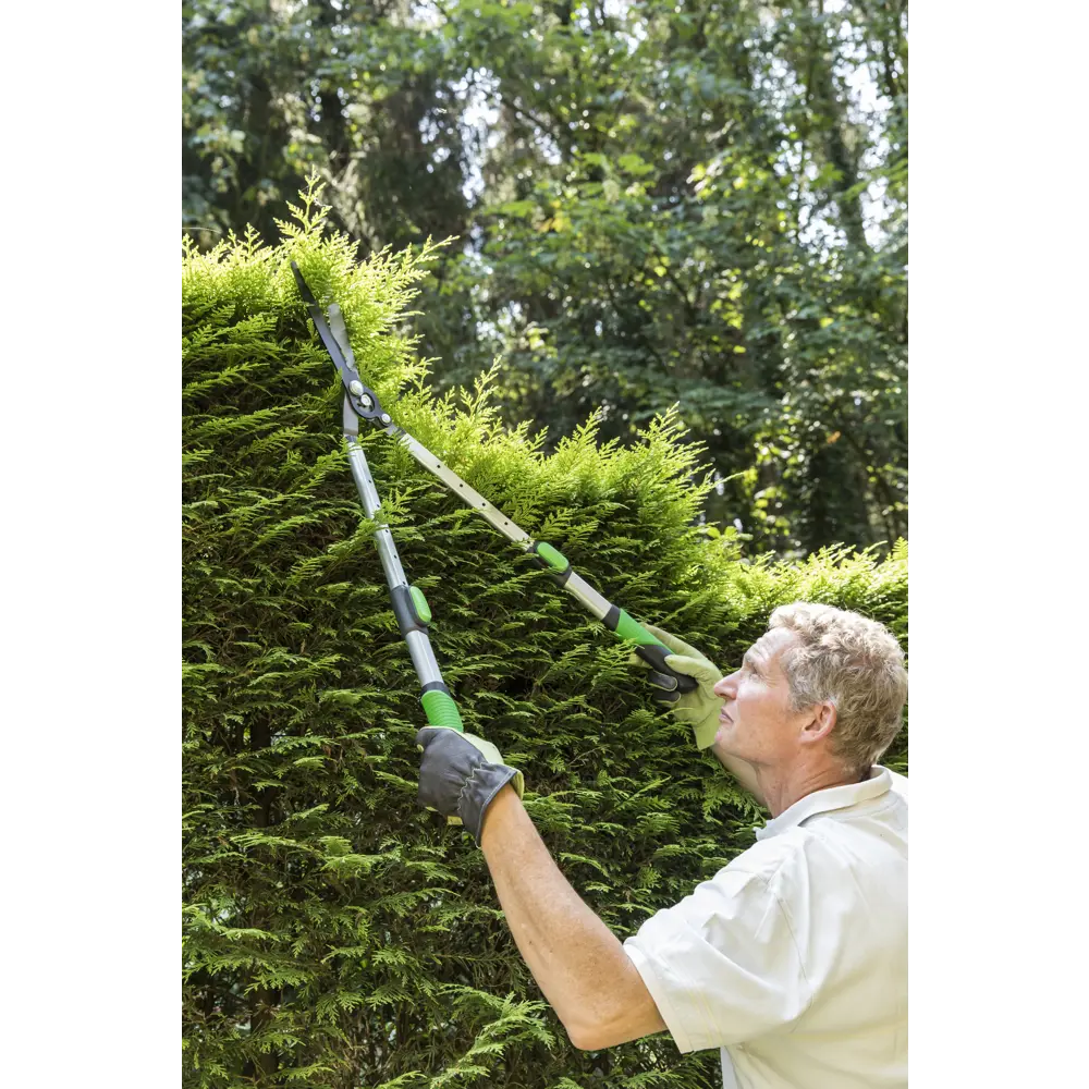 Телескопические ножницы для кустарников Geolia с регулируемой ручкой 81966060 STLM-0015862 - Вид №8