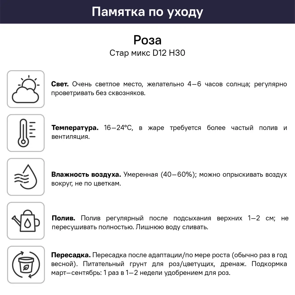 Роза Стар микс ø12 h30 см 89453295 STLM-2143299 Santreyd  - Вид №4