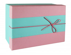 484176 Коробка с бантиком, большая, 20 х 20 х 10 см, розово-голубая Made in Respublica*