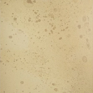 Арт-панель на холсте Alex Turco Abstract Golden Star Dust
