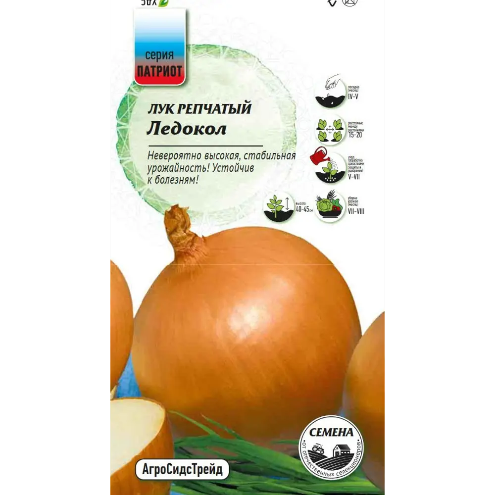 Семена овощей Патриот лук репчатый Ледокол 89405269 STLM-2096797 Santreyd 