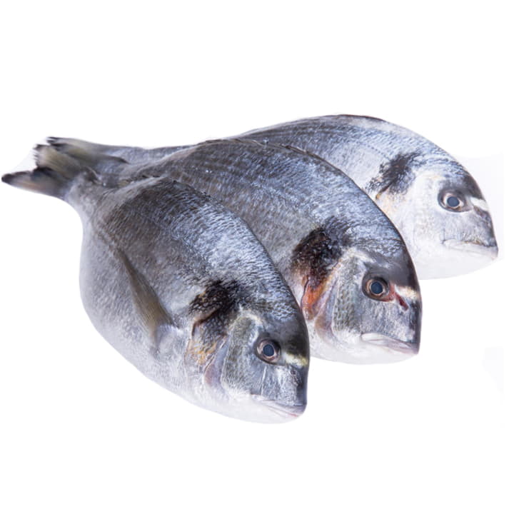 Дикий Дорадо охлажденный 1 - 2 кг Santreyd 11774 - Вид №1