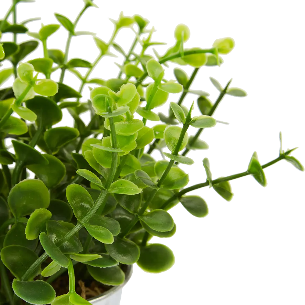 Искусственное растение в металлическом горшке 114754 ø16 h15 см Santreyd STLM-2173474 - Вид №3