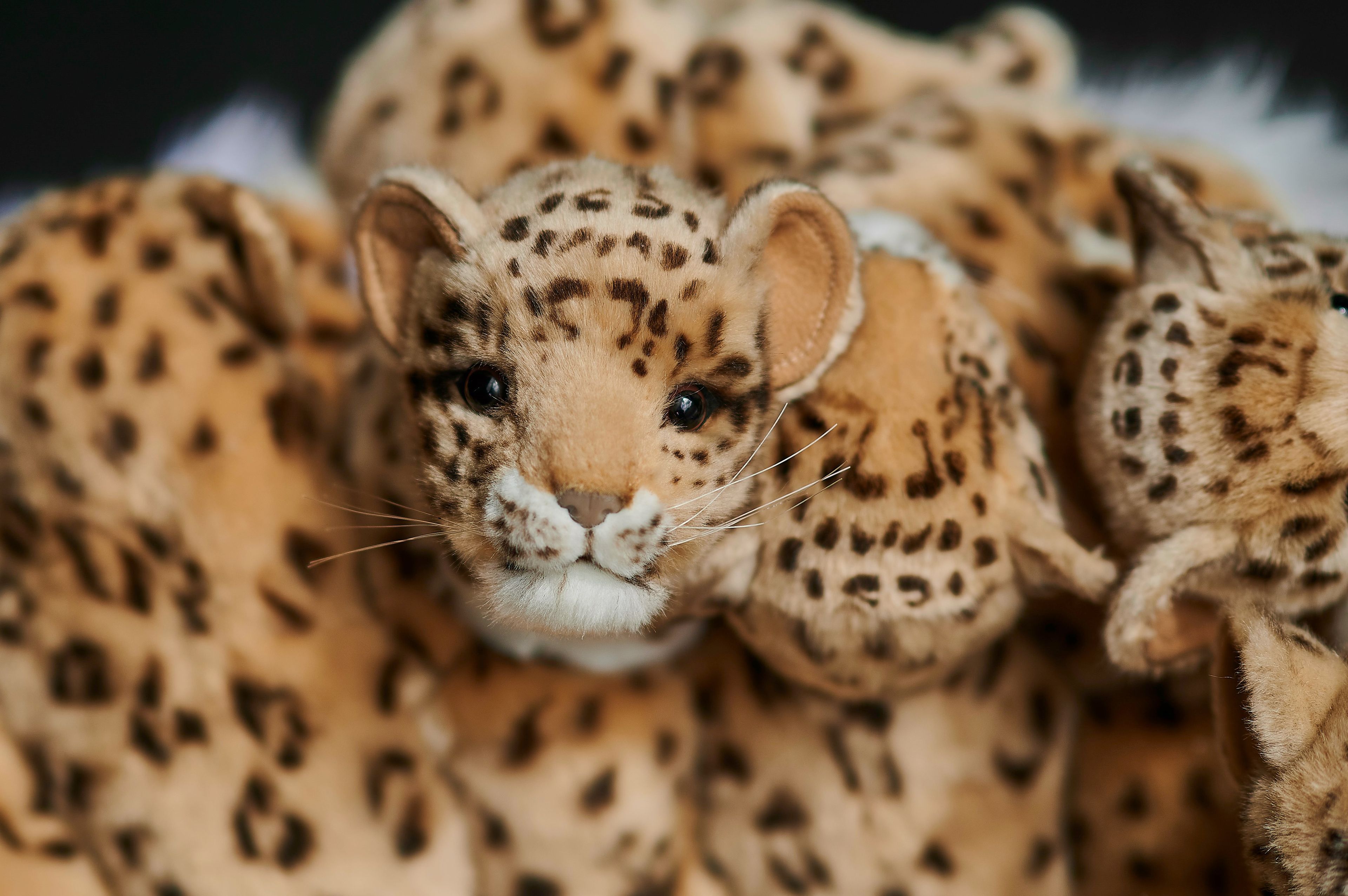 Стул из полиэстера APCOLLECTION Leo ARCH-00127524 - Вид №14