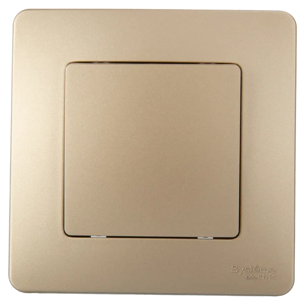 Выключатель встраиваемый Systeme Electric Blanca 1 клавиша цвет титановый STLM-2040099 - Вид №1