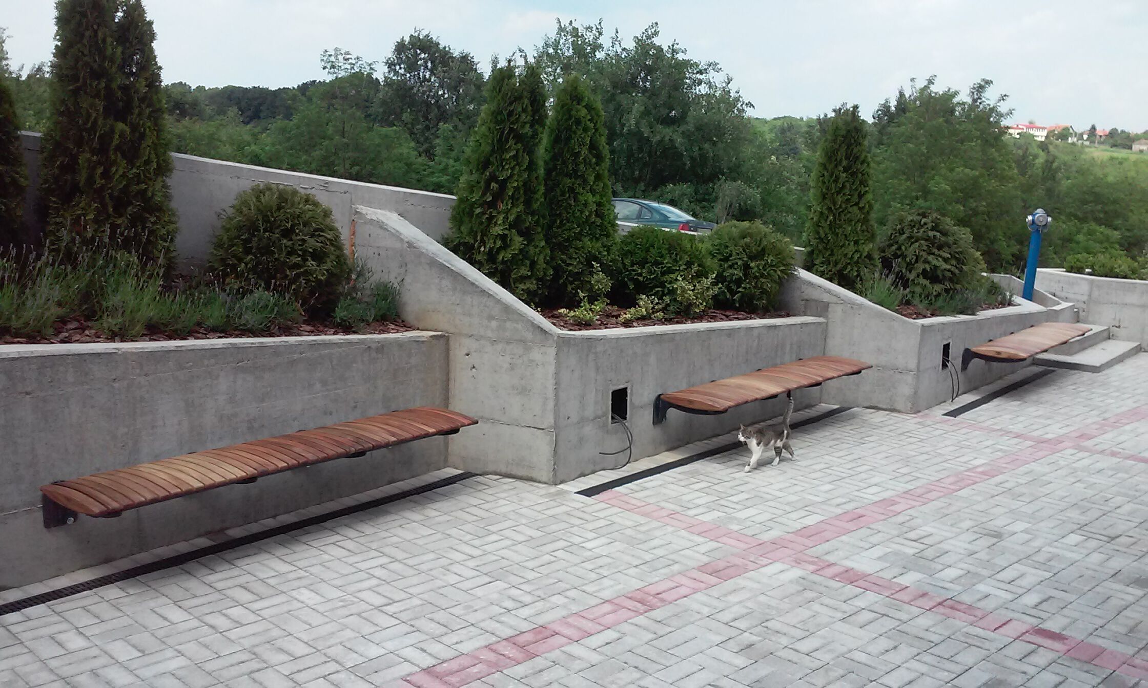 Деревянная скамейка без спинки HOOKL und STOOL KSILOFON ARCH-00036701 - Вид №1