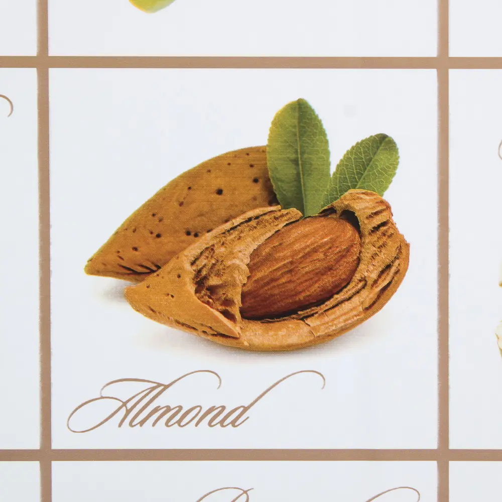 Скатерть «Орехи» 110х140 см ПВХ Santreyd STLM-2159383 - Вид №1