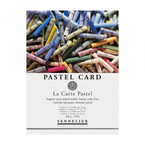 136750 Альбом-склейка для пастели "Pastel Card" 360 г/м2 24 х 32 см склейка Sennelier