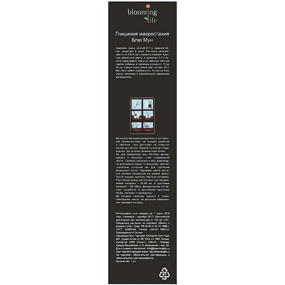 Глициния Макростахия «Блю Мун» (в тубе) 81948513 STLM-2104374 Santreyd  - Вид №1