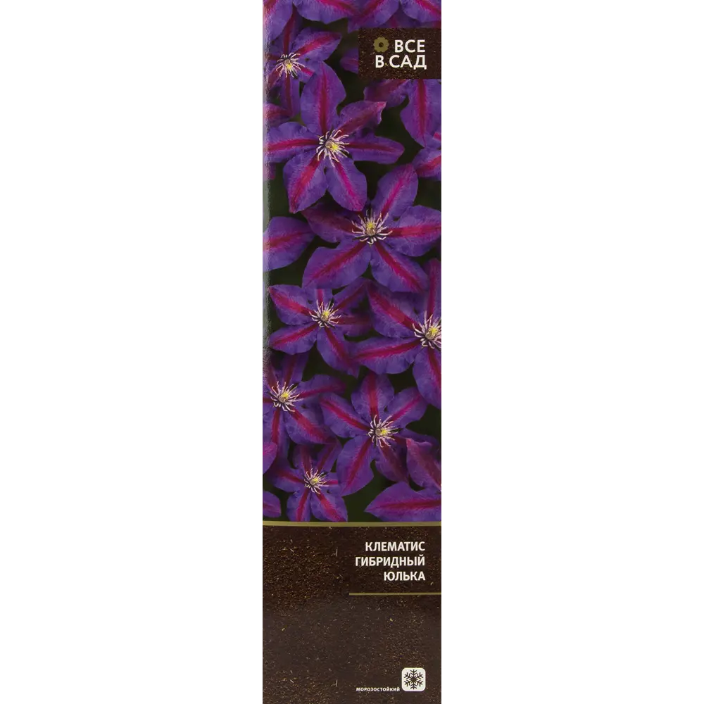 Клематис гибридный Юлька в тубе ВСЕ В САД STLM-2140212