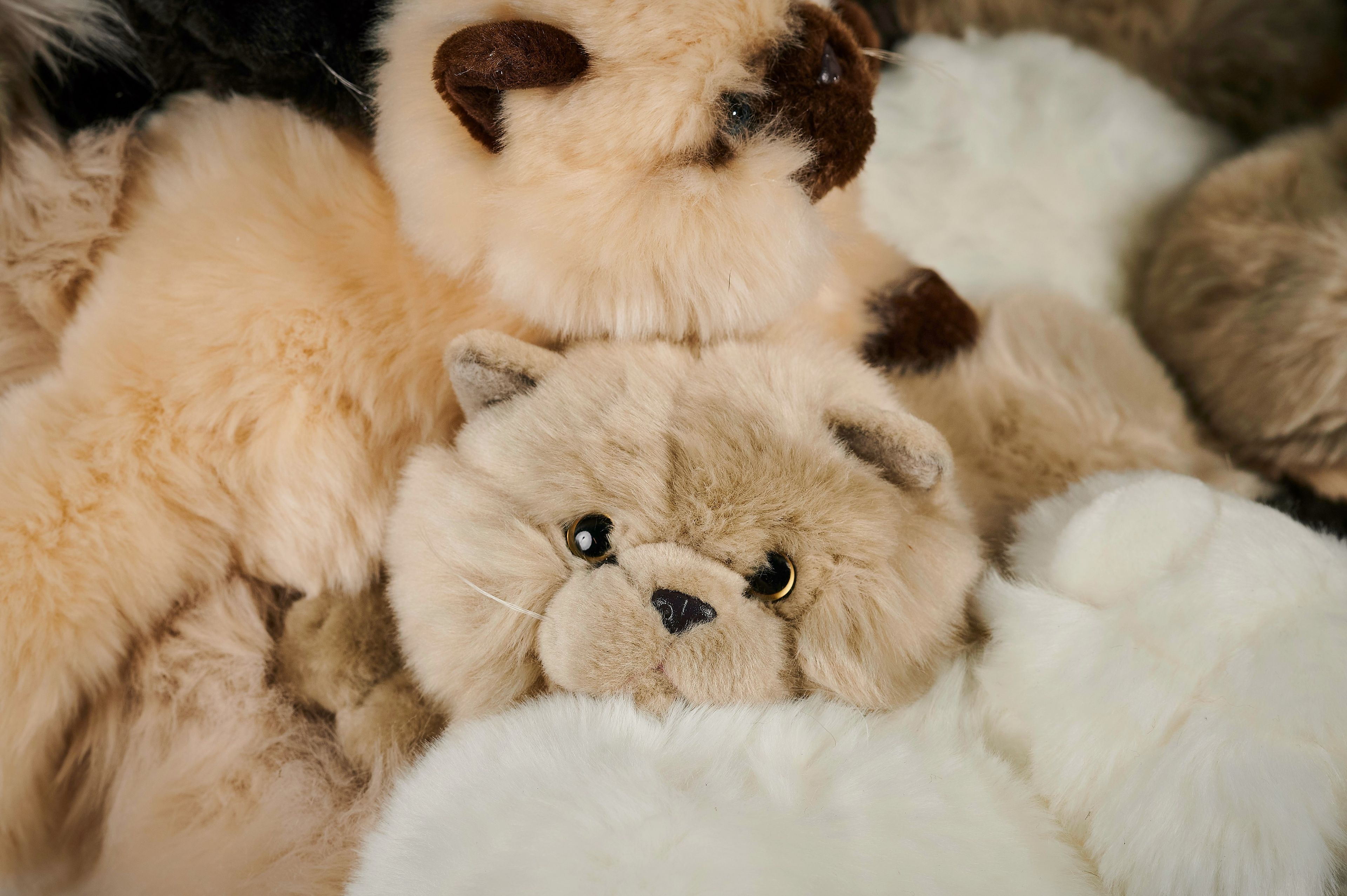 Полиэфирное кресло APCOLLECTION Aristo ARCH-00024782 - Вид №4