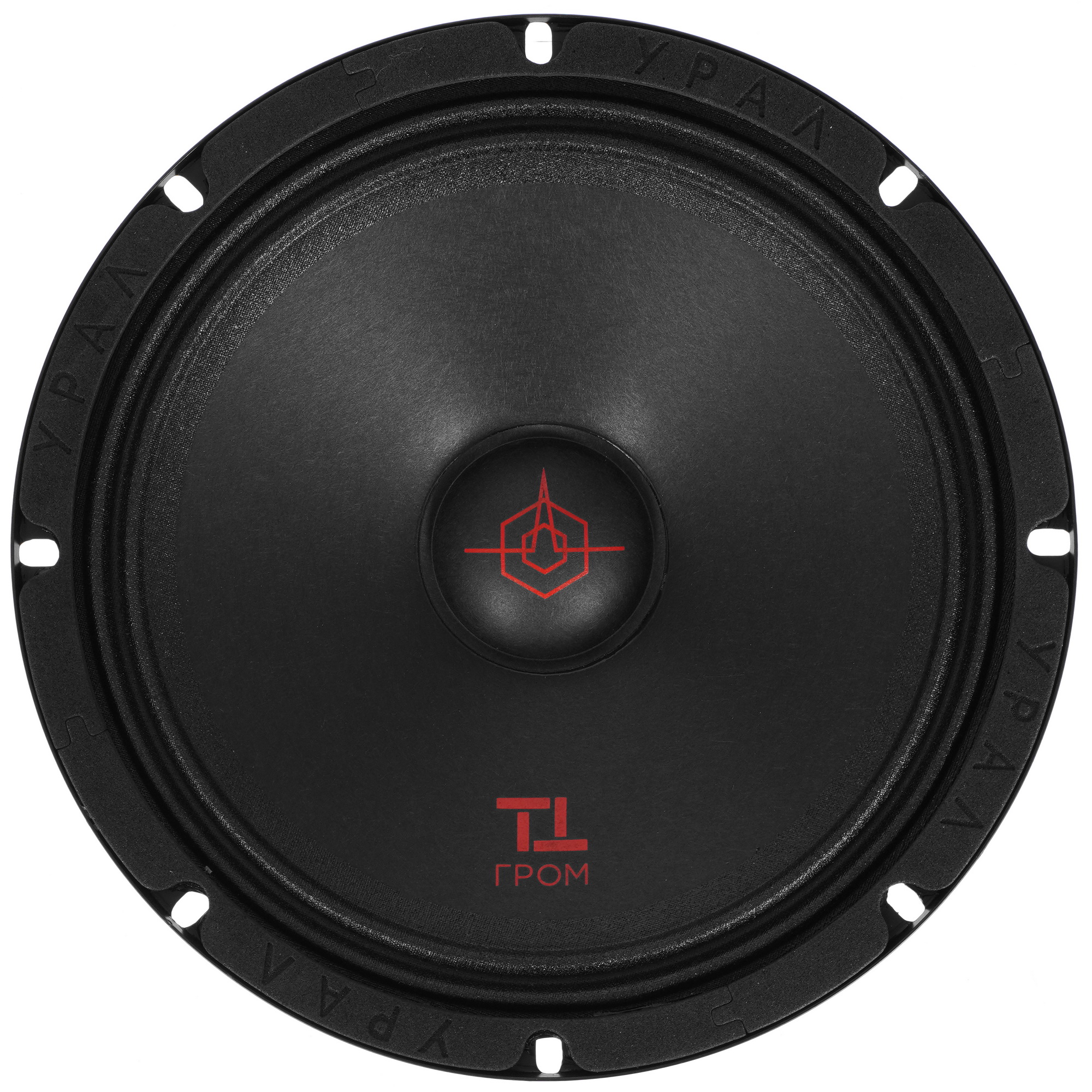 9958172 Среднечастотная акустическая система Ural TT 200 Гром STDN-0102726 - Вид №1