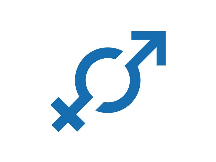 Программное обеспечение для оценки различий в выполнении рабочих задач Blumatica Blumatica VDR in Ottica di Genere ARCH-00036789