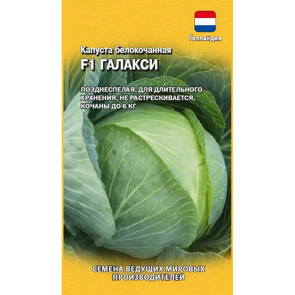Семена капусты белокочанной Галакси F1 от Гавриш - голландский гибрид для обильного урожая 83607097 STLM-0042509