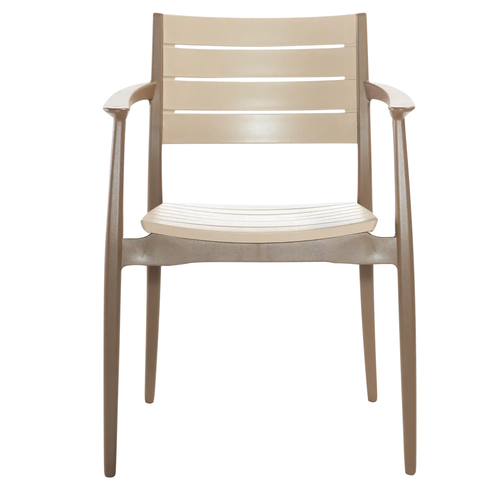 Кресло Novussi Regnum 82x58 см пластик цвет кофейный/капучино Santreyd STLM-2147547 - Вид №2