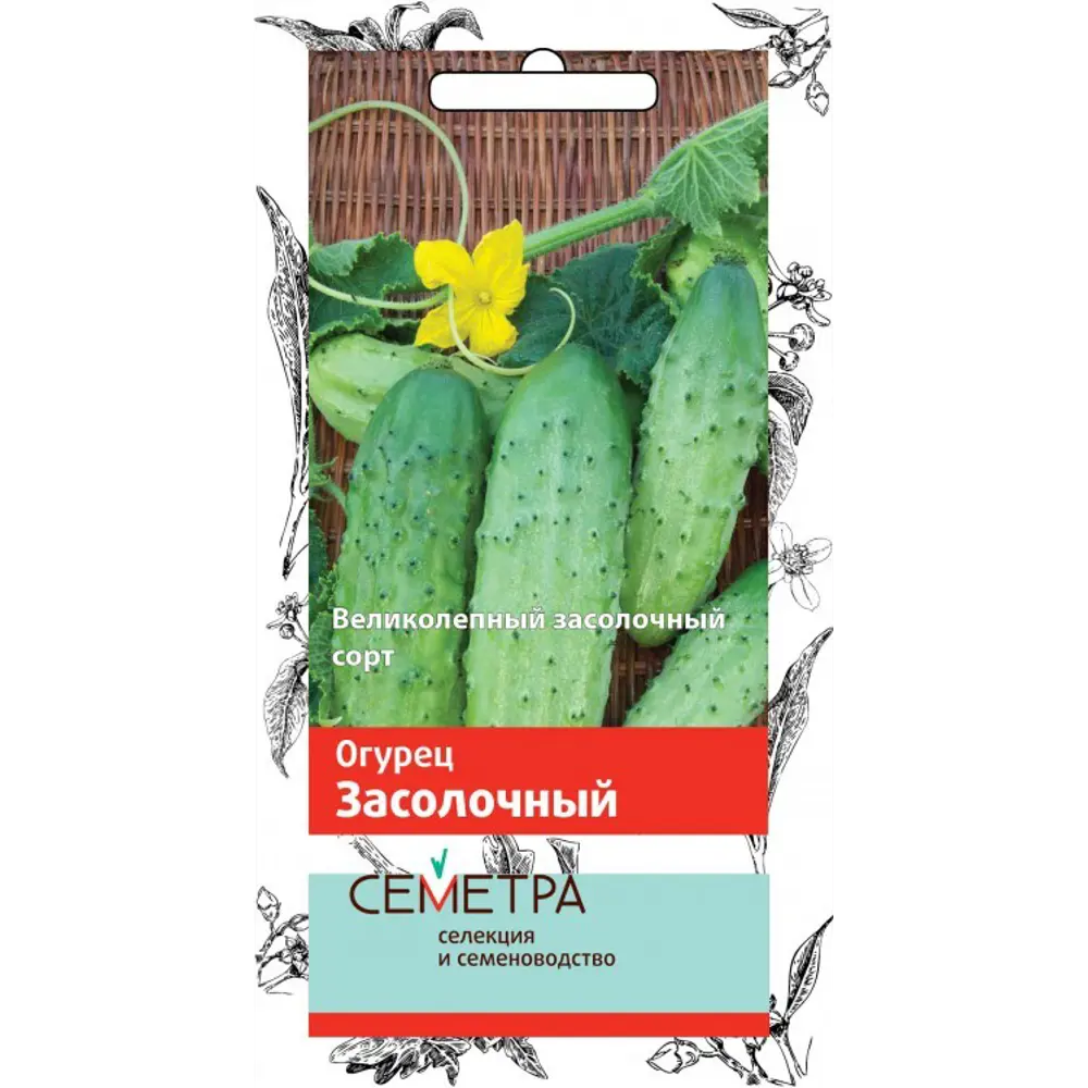 Семена Огурец Семетра «Засолочный» 83147286 STLM-2187246 ПОИСК 
