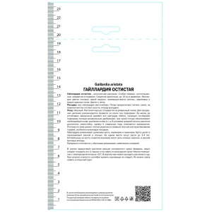 Гайлардия остистая Аризона Сан 89452144 STLM-2128173