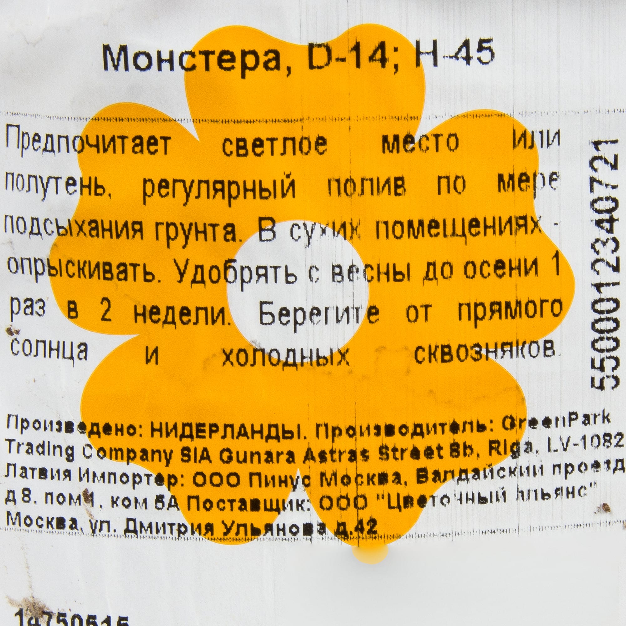 14750515 Монстера 14х50 см Santreyd  - Вид №2