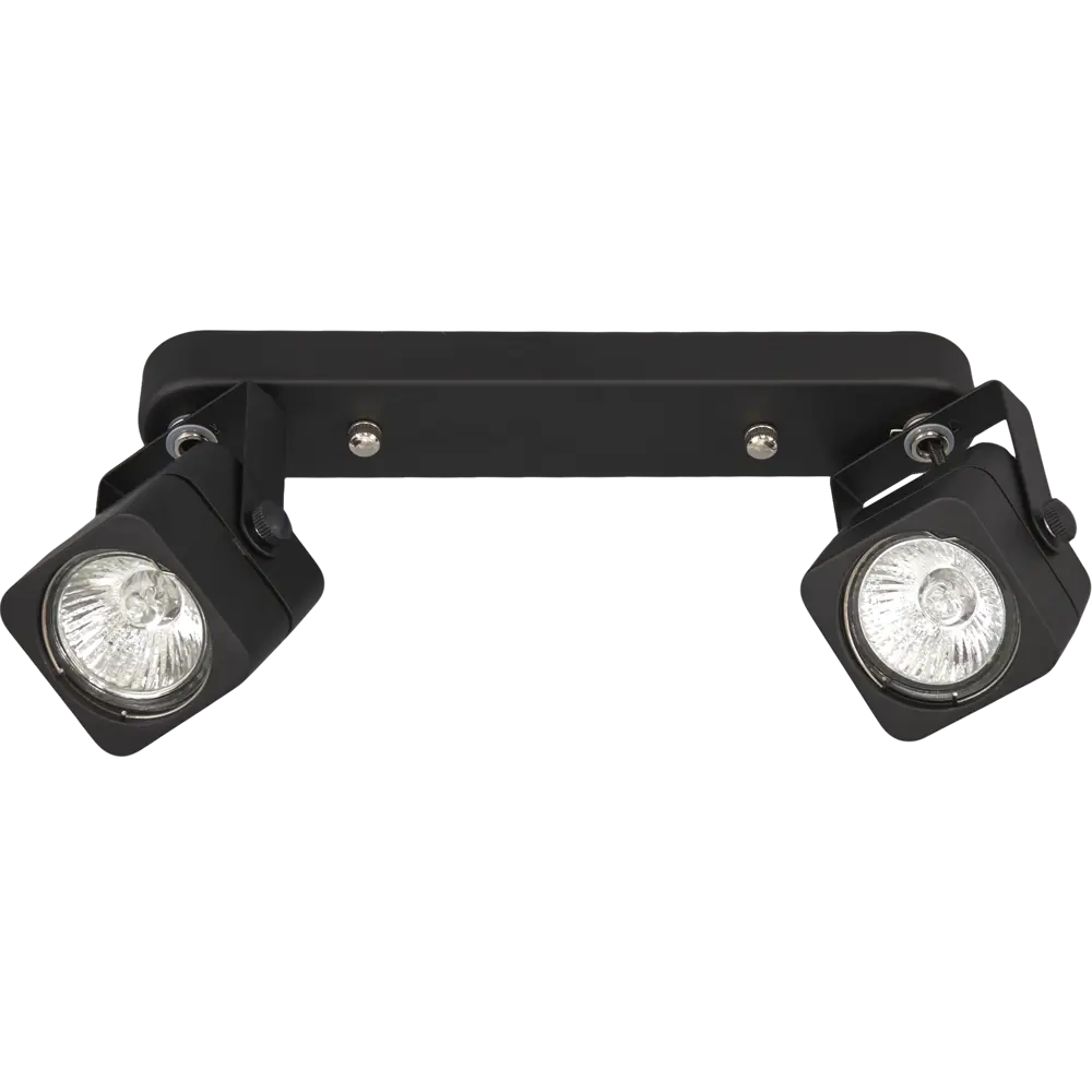 Спот поворотный Lene 2хGU10х50 Вт металл цвет чёрный Arte Lamp STLM-2175684