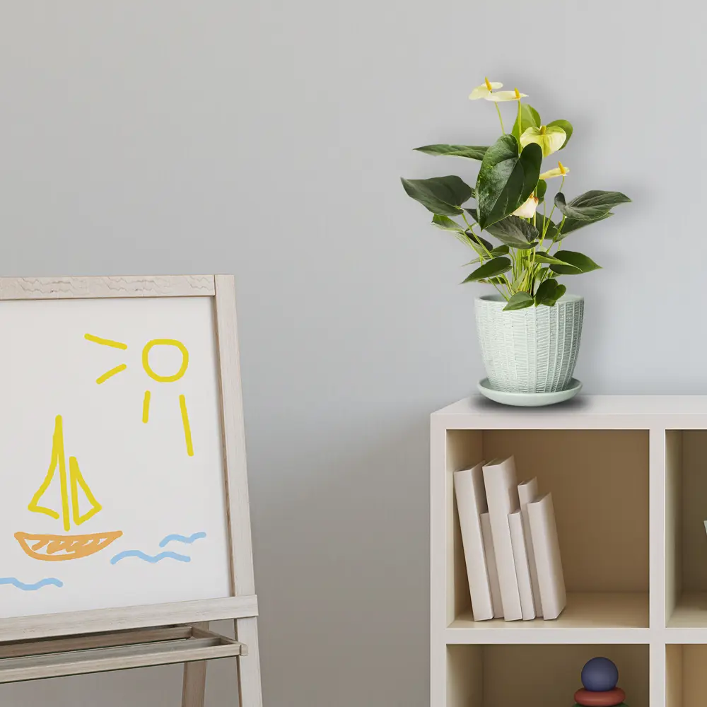 Santreyd Антуриум Андрэ - экзотический цветок-фламинго для вашего интерьера 14447938 STLM-0004953 - Вид №3