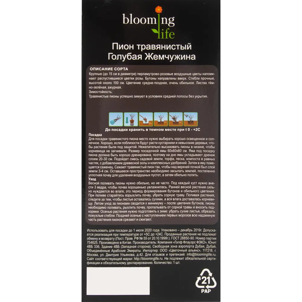 Пион травянистый Голубая жемчужина в тубе BLOOMING LIFE STLM-2033554 - Вид №3