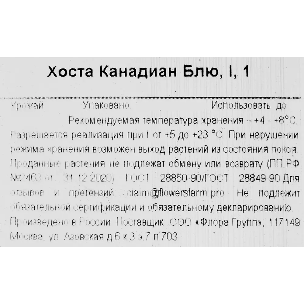 Хоста Канадиан Блю 86735685 STLM-2017752 Santreyd  - Вид №2