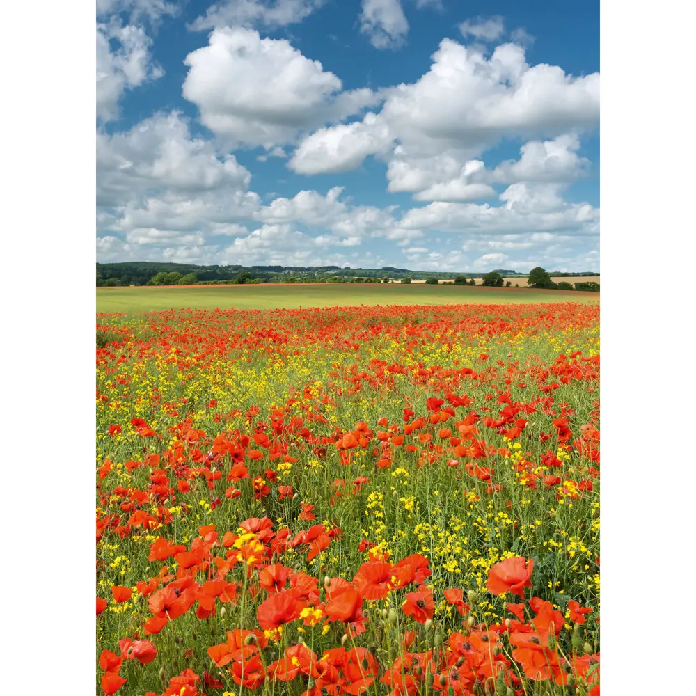 Фотообои бумажные «Краски лета» 184х254 см POSTERMARKET STLM-2156723